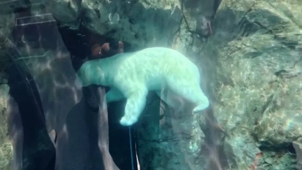 Fotr na tripu 10, itinerář 5