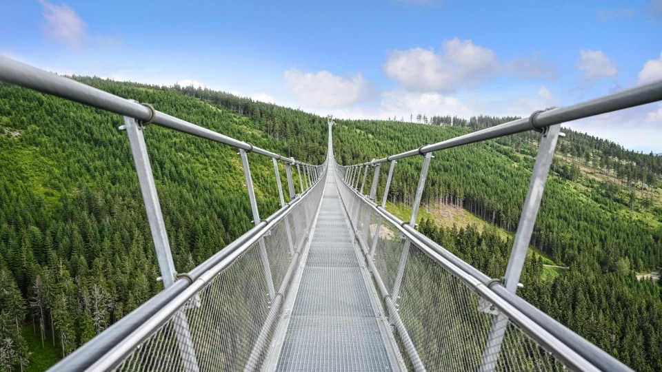 Sky Bridge 721