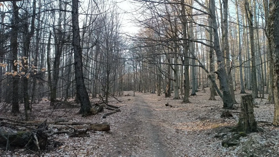 Pezinská Baba