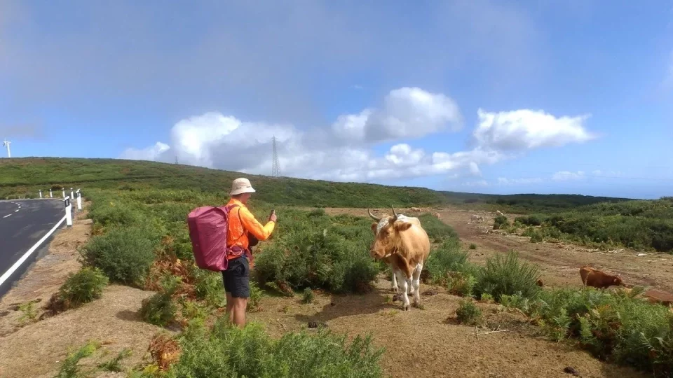 Madeira, 3. díl