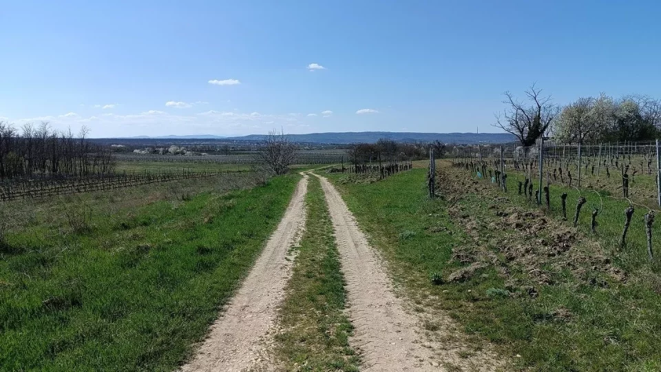 Neusiedler See