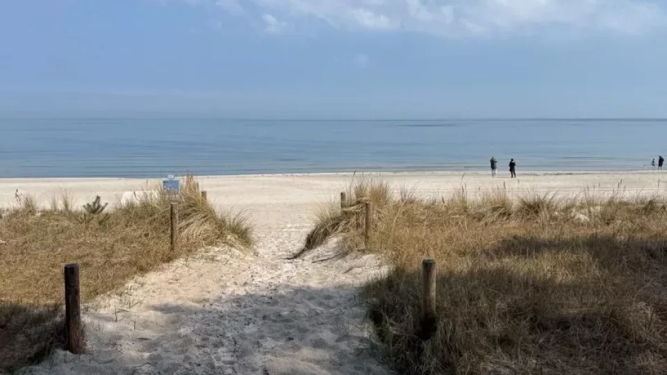 Fotr na tripu 9, Prora