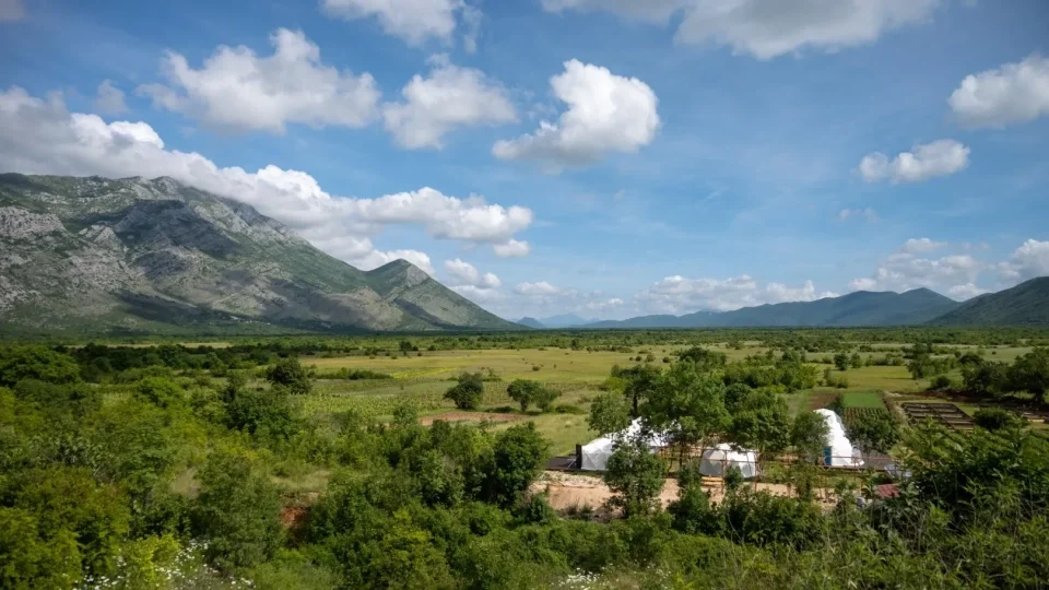 Hercegovina