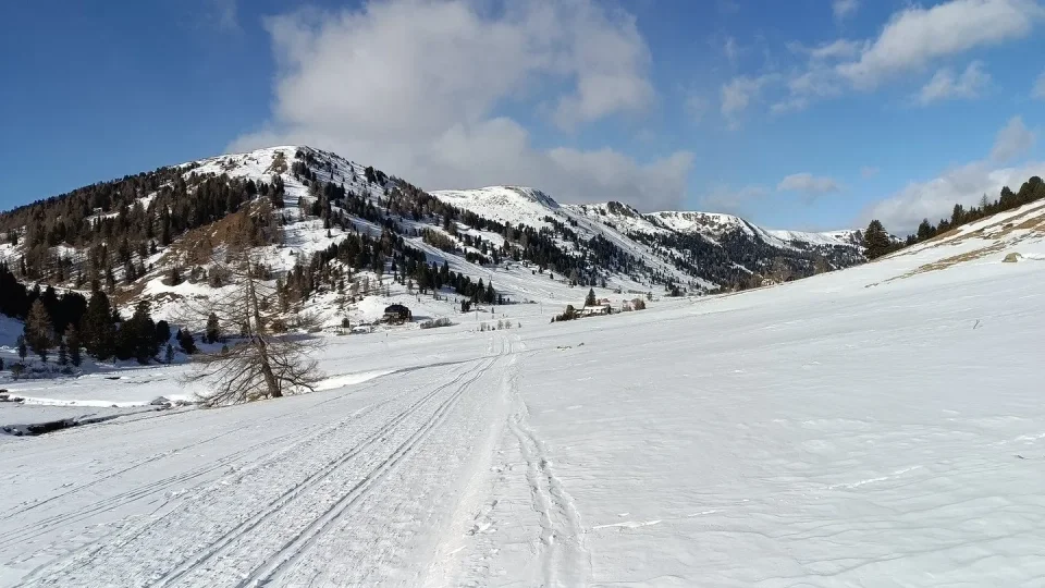 Běžkování v Alpách