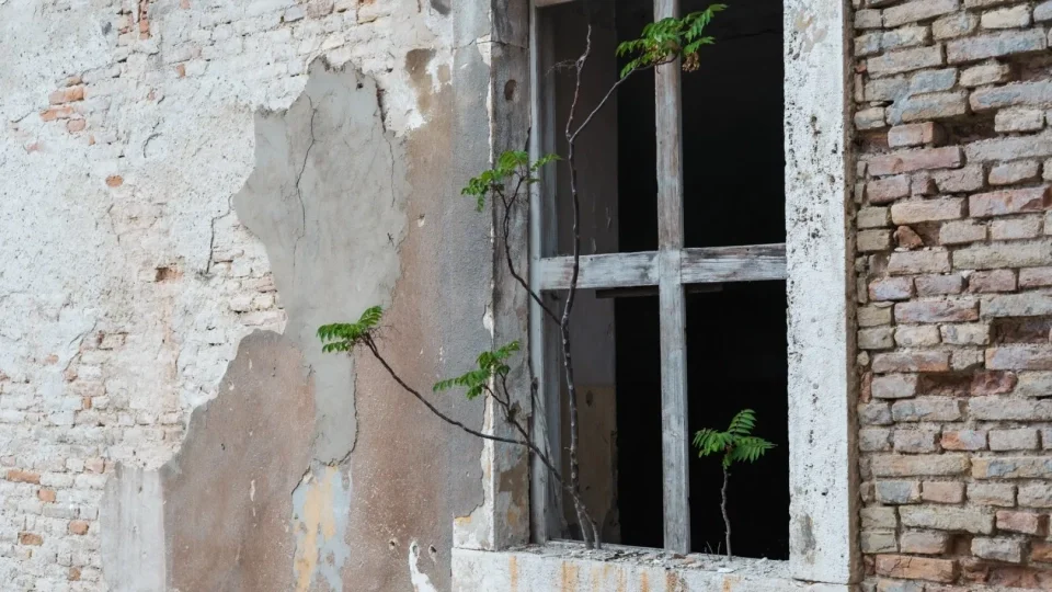 Slovensko Trip