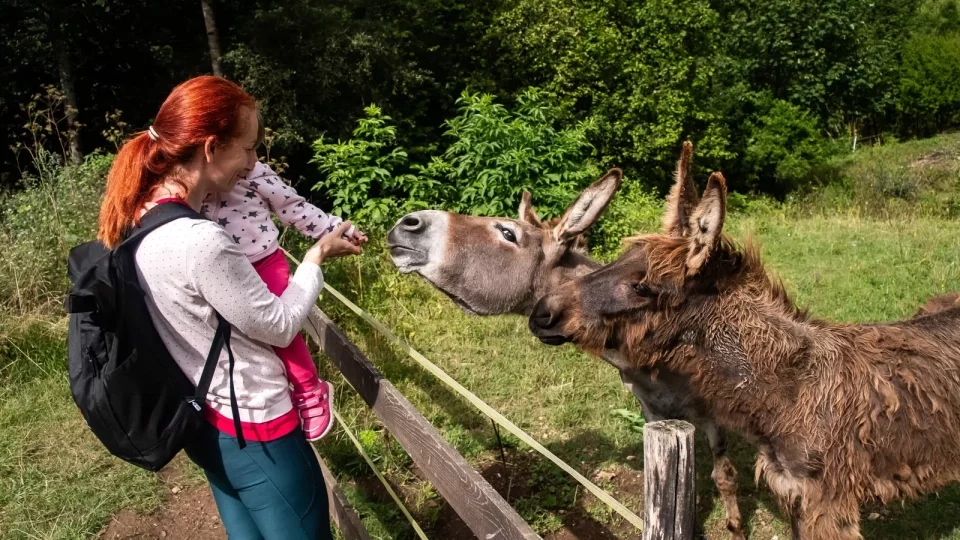 Trip Muránska planina, Muránsky hrad, syslové