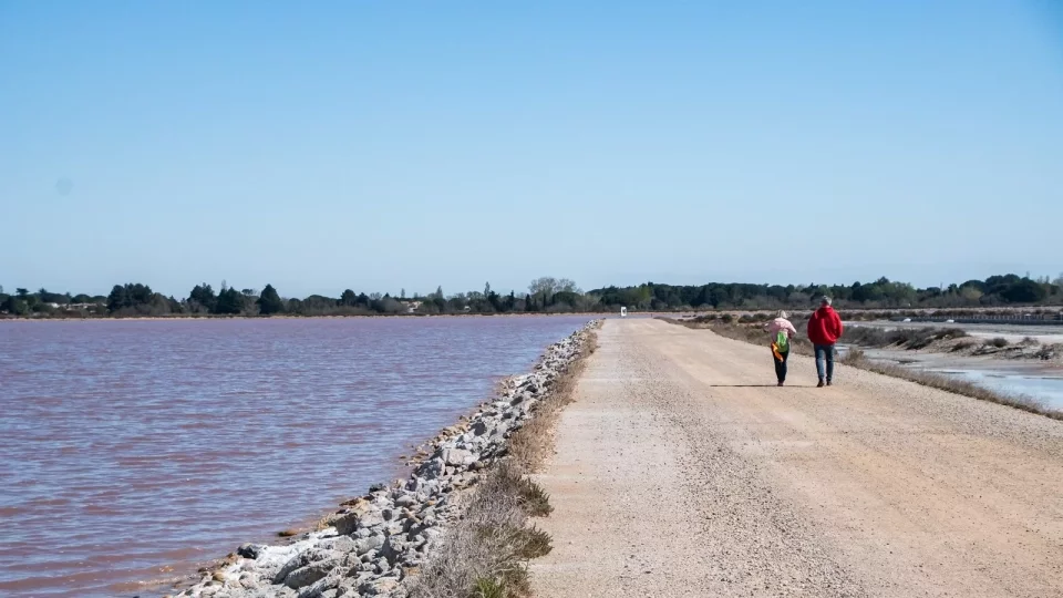 Ford trip, Camargue