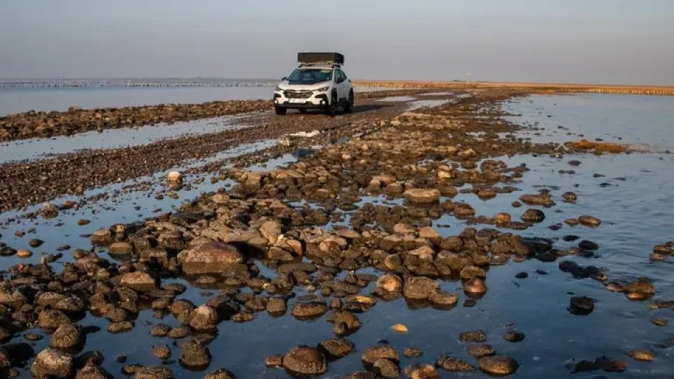 Subaru trip Dánsko, Romo, Mando