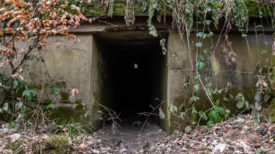 Subaru trip, Baťa, Bunč