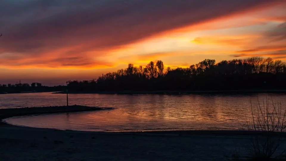 Ford trip, Little Tokyo