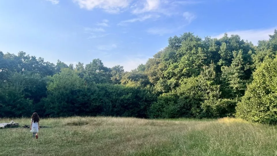 Fotr na tripu 8, Rumunsko