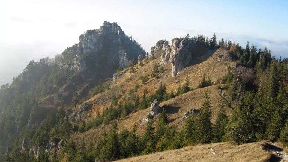 Fatra, Slovensko