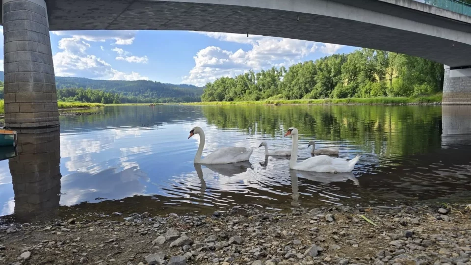 Inline Šumava