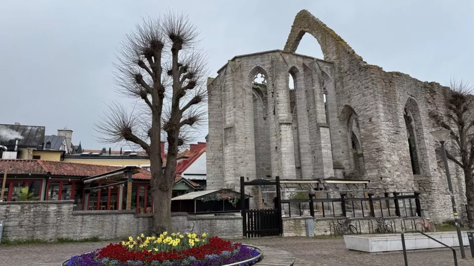 Fotr na tripu 9, Gotland