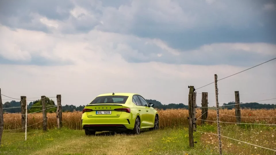 Škoda 130 let, Radostín a další RZ Bohemia Rally