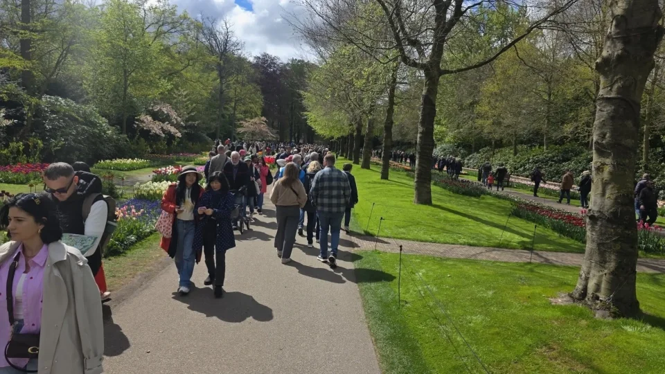 Keukenhof