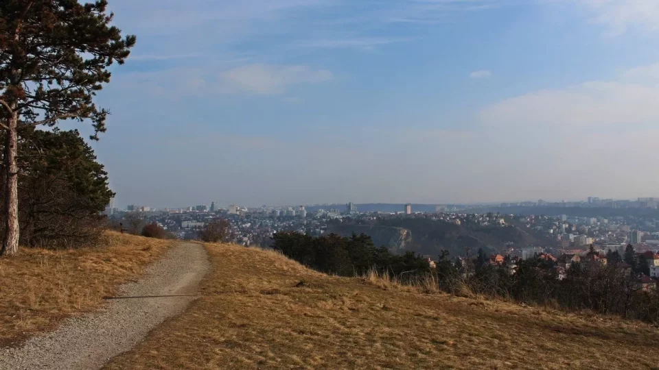 Procházka v Prokopáku