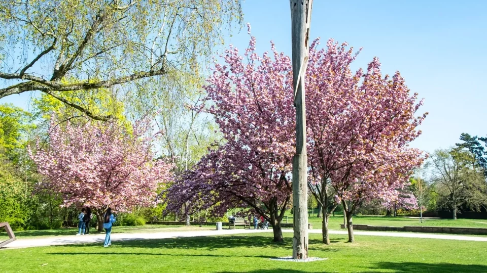 Ford trip, Little Tokyo