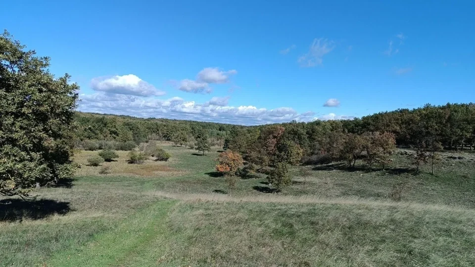 Balaton na gravelu