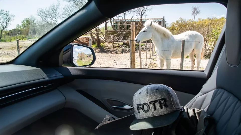Ford trip, Camargue