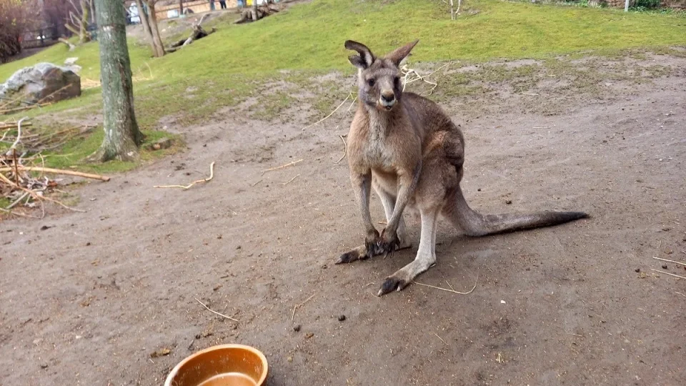 ZOO Praha