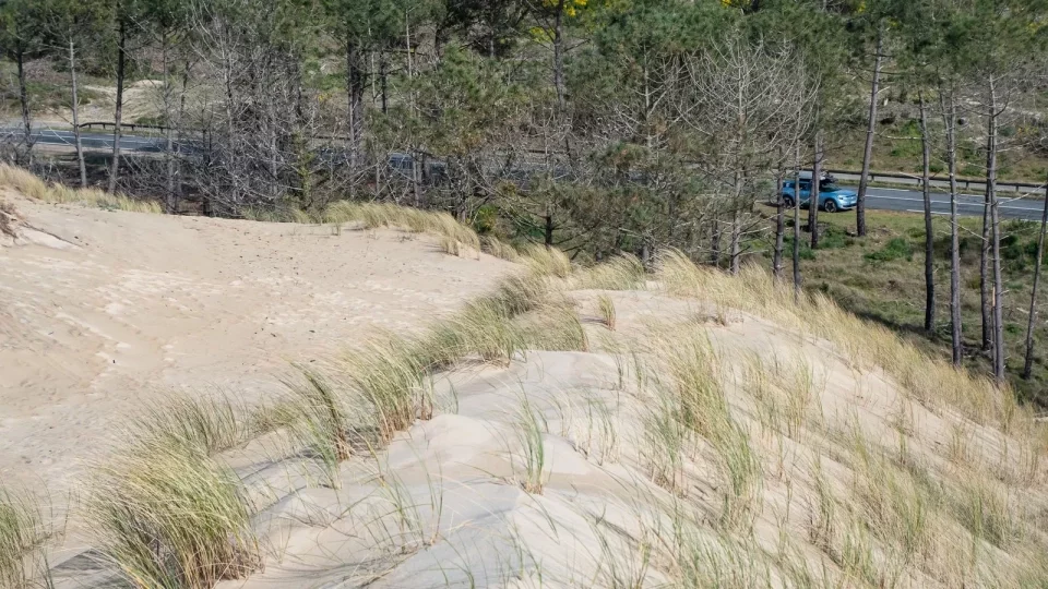 Ford trip, Duna du Pyla