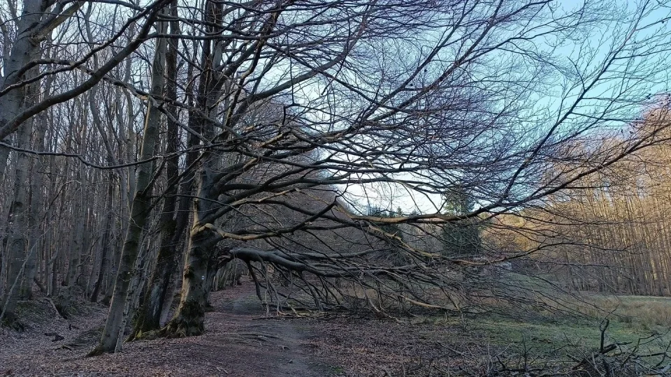 Pezinská Baba