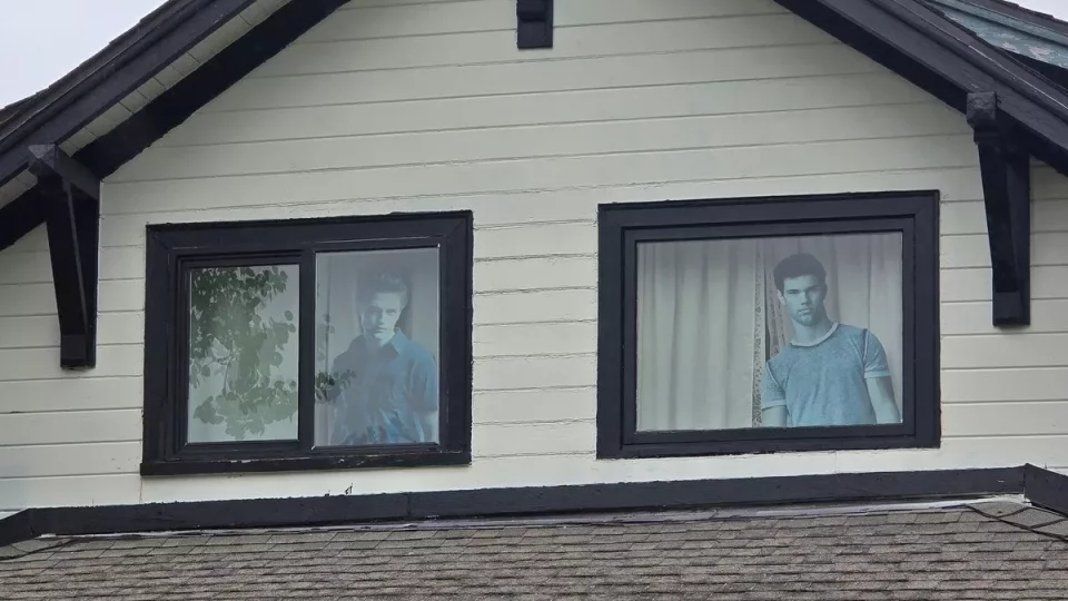 Forks, Twilight