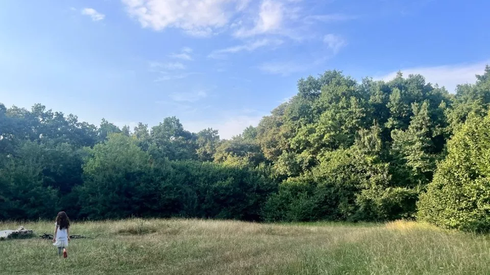 Fotr na tripu 8, Rumunsko