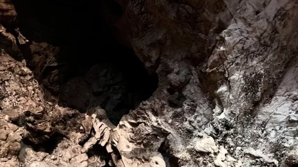 Fotr na tripu 8, Slovinsko