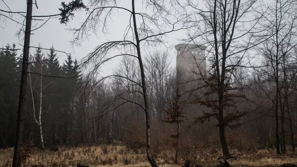 Subaru trip, Baťa, Bunč