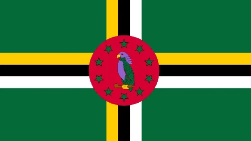 vlajky