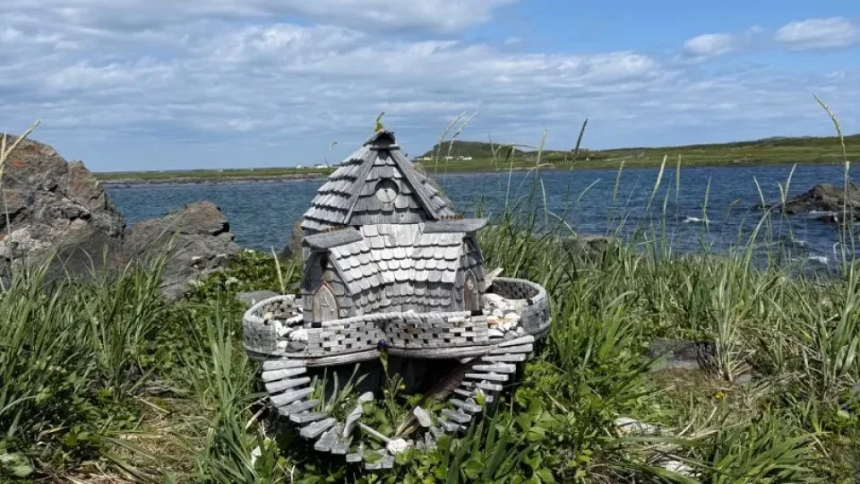 Fotr na tripu 10, vikingové