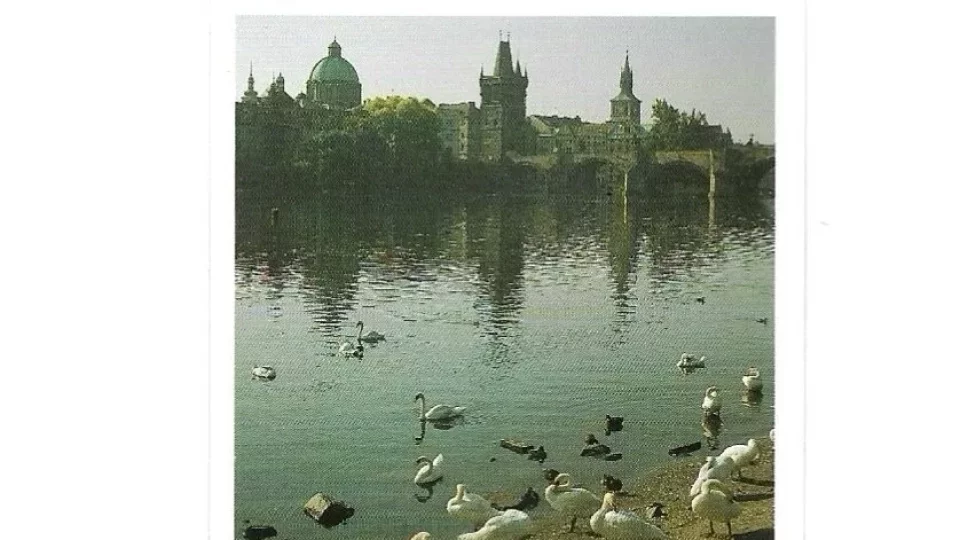 Kvíz kvarteto Česko