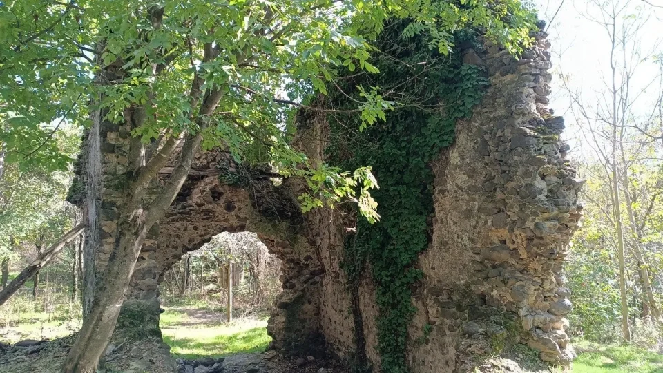 Balaton na gravelu