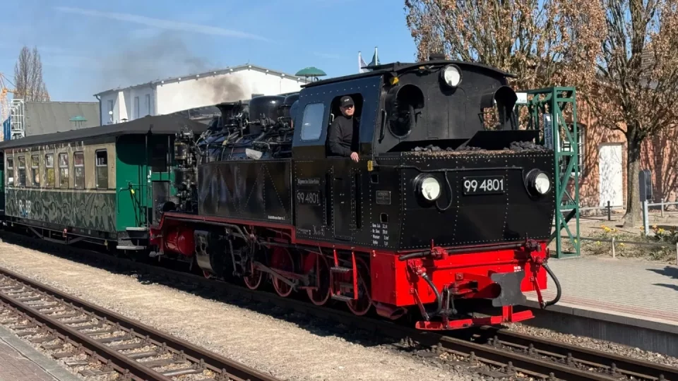 Fotr na tripu 9, Rujána