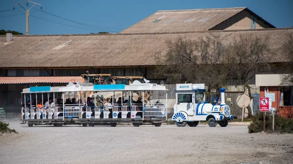 Ford trip, Camargue