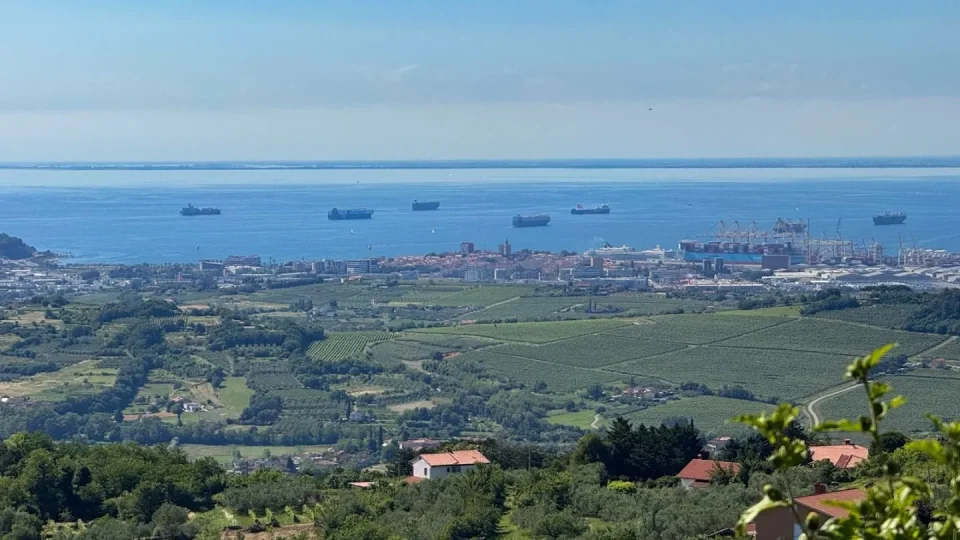Vinna a olivová fontána Marezige