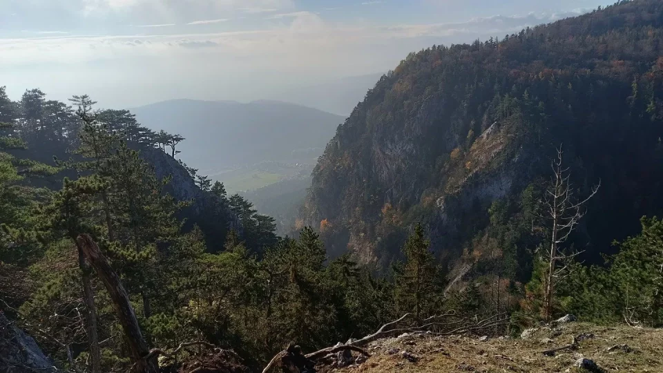 Hohe Wand