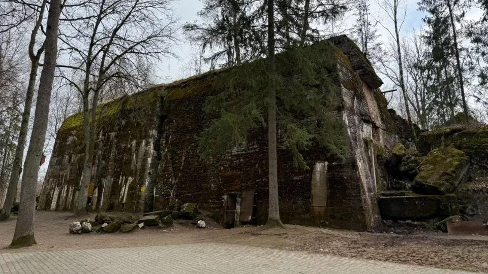 Fotr na tripu 9, Vlčí doupě