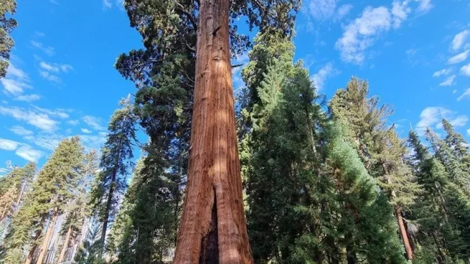 Kalifornský národní park Sequoia