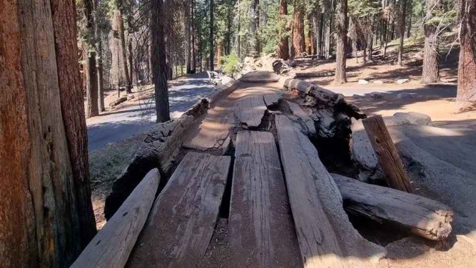 Kalifornský národní park Sequoia