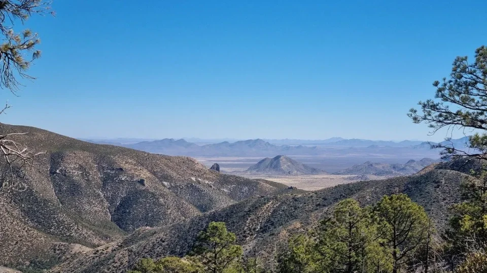 Chiricahua