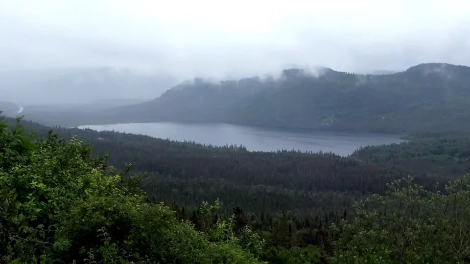 Newfoundland