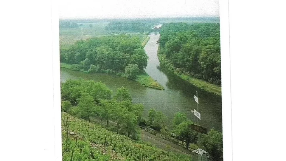 Kvíz kvarteto Česko
