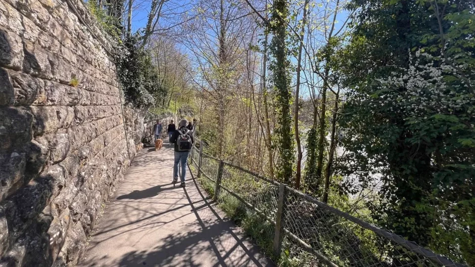 Ford trip, Rýnské vodopády