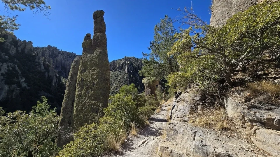 Chiricahua