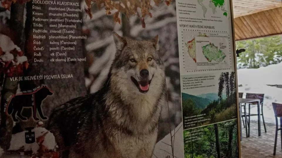 Kvíz Česká republika
