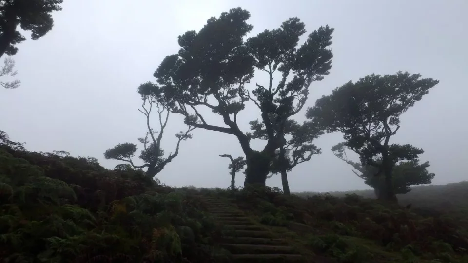 Madeira 4. díl