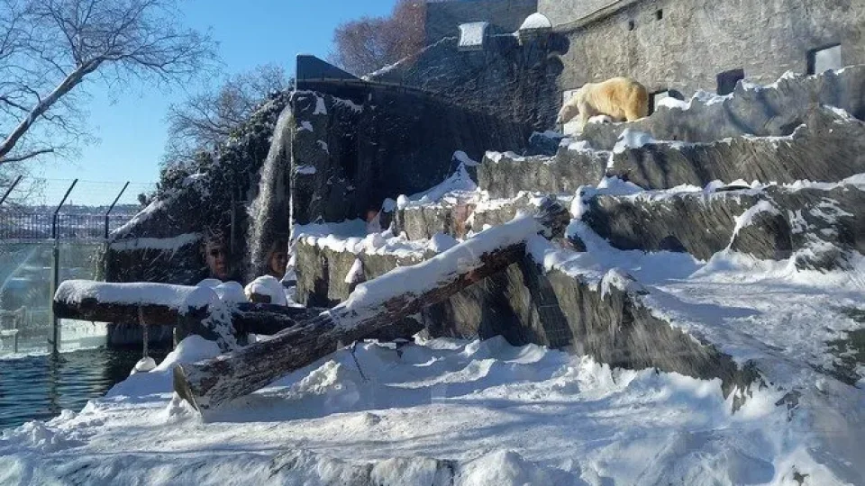 ZOO Praha